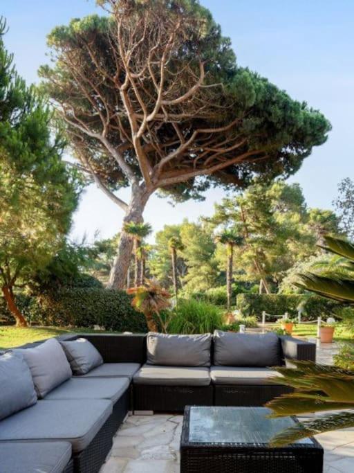 Superbe Appartement 50M De La Plage En Bord De Mer 耶尔 外观 照片