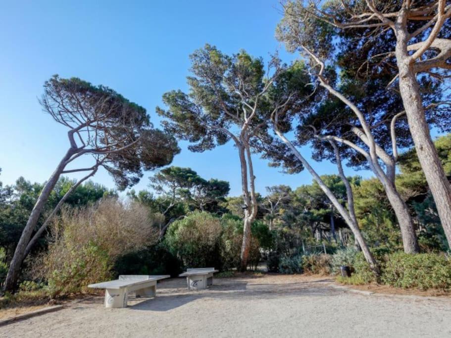 Superbe Appartement 50M De La Plage En Bord De Mer 耶尔 外观 照片